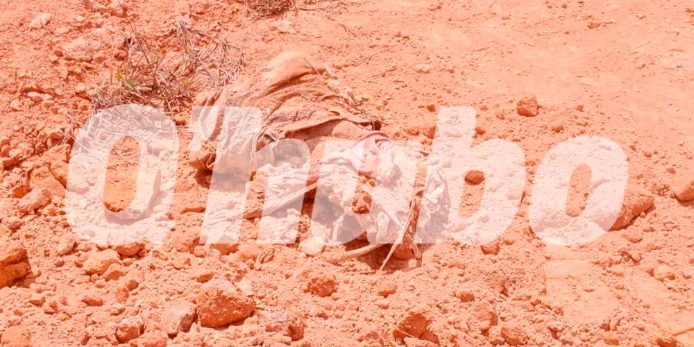 Este es uno de los cuerpos que fue hallado la semana pasada en la ladrillera. /FOTO: CORTESÍA