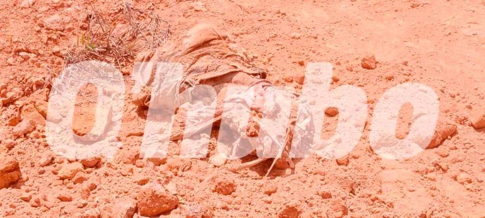 Este es uno de los cuerpos que fue hallado la semana pasada en la ladrillera. /FOTO: CORTESÍA