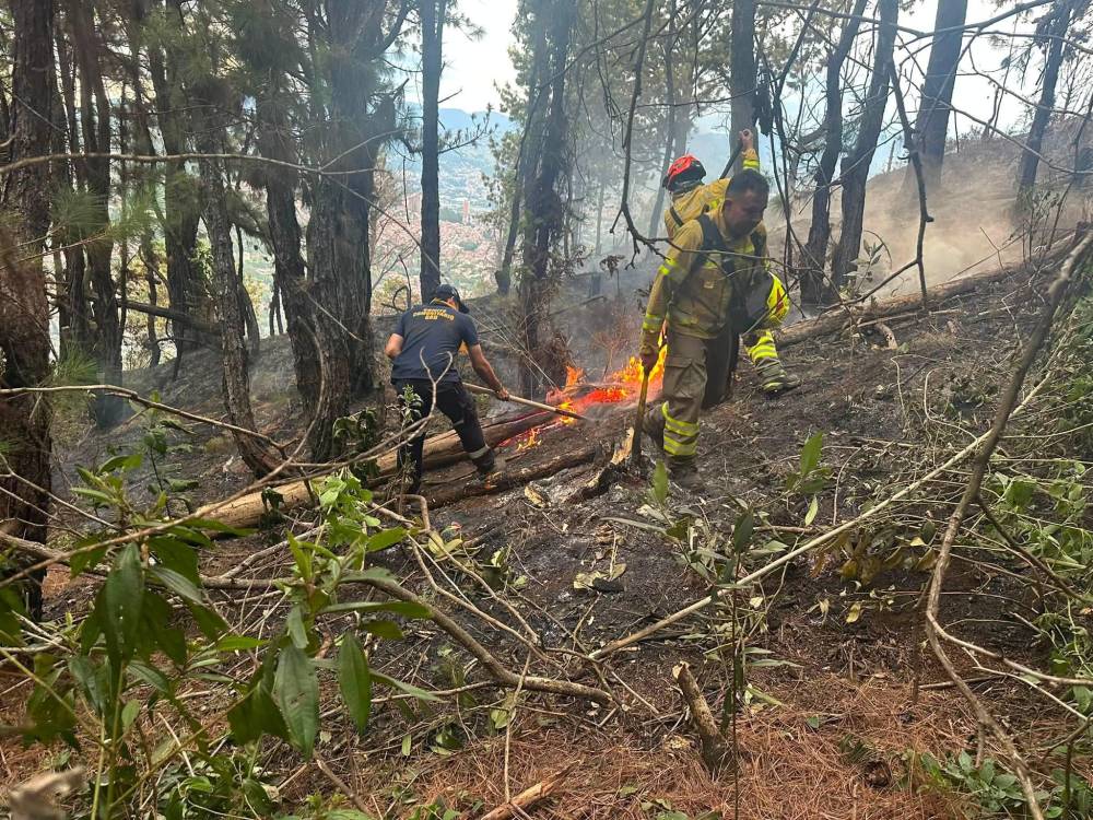 Incendio en el cerro Pan de Azúcar. FOTO: COMITÉ BARRIAL EMERGENCIAS VILLATINA