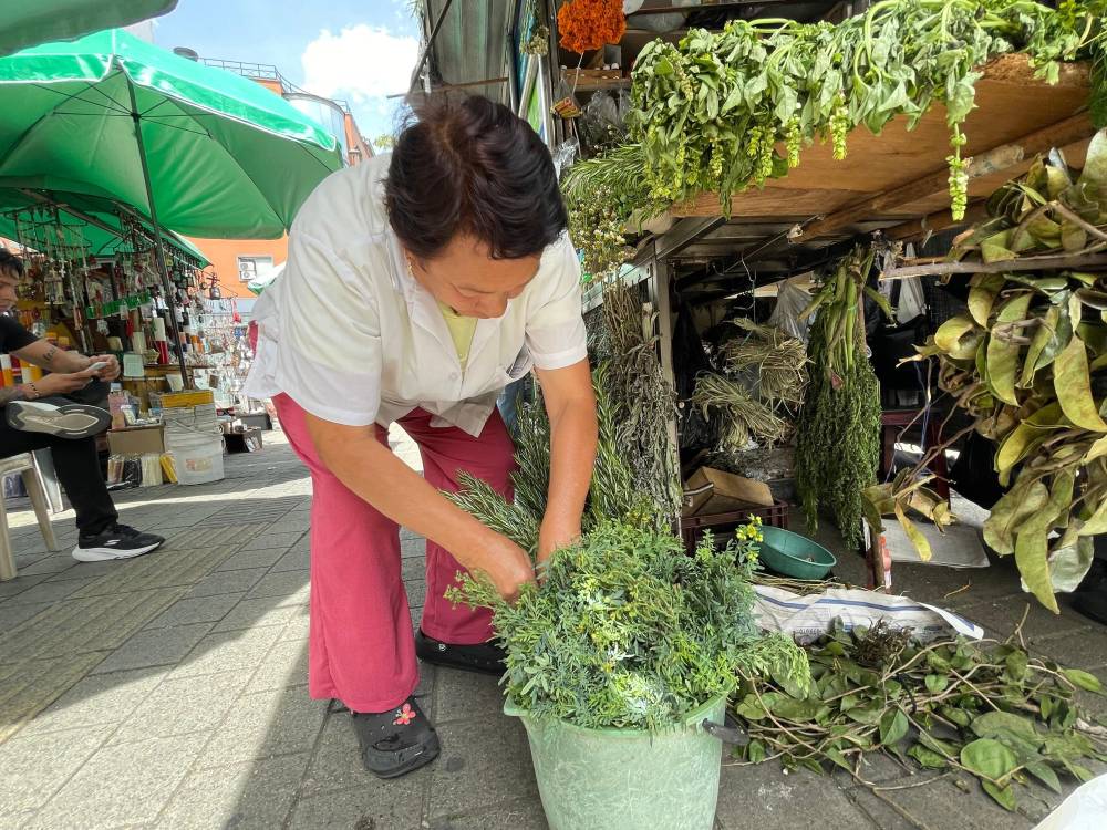 Vendedora de plantas medicinales en el centro de Medellín. <b><span class=mln_small-caps_mln>/ FOTO: JAIDER ESCOBAR</span></b>