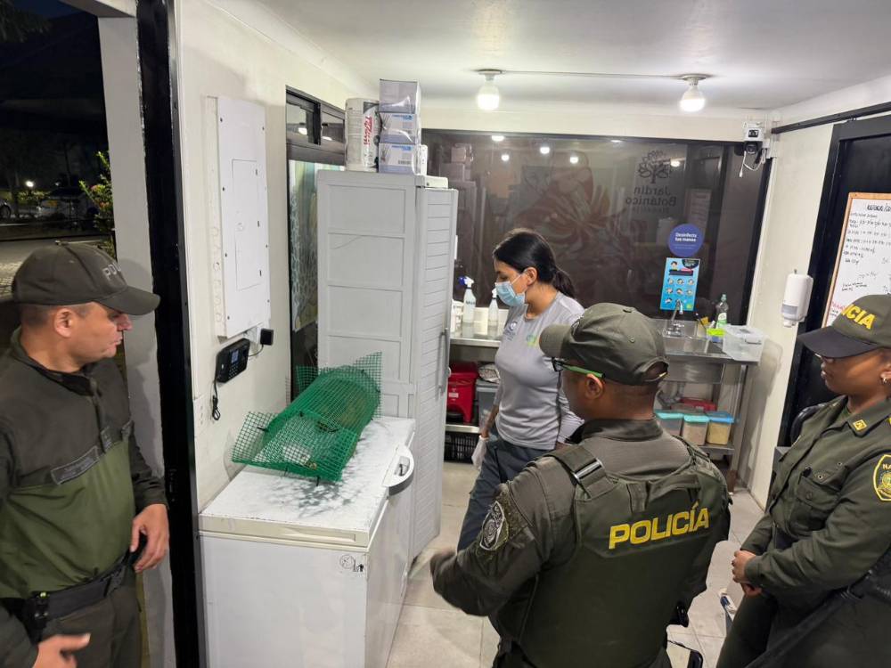 FOTO: POLICÍA