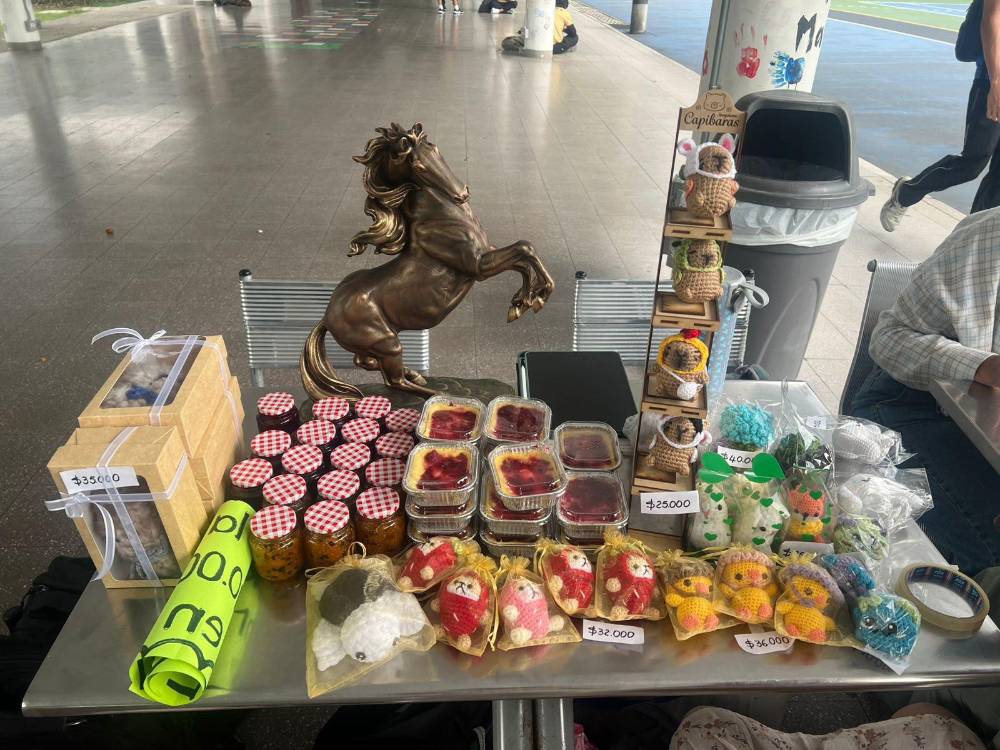 Estos son los productos que están vendiendo los estudiantes para costearse el viaje. FOTO: CORTESÍA