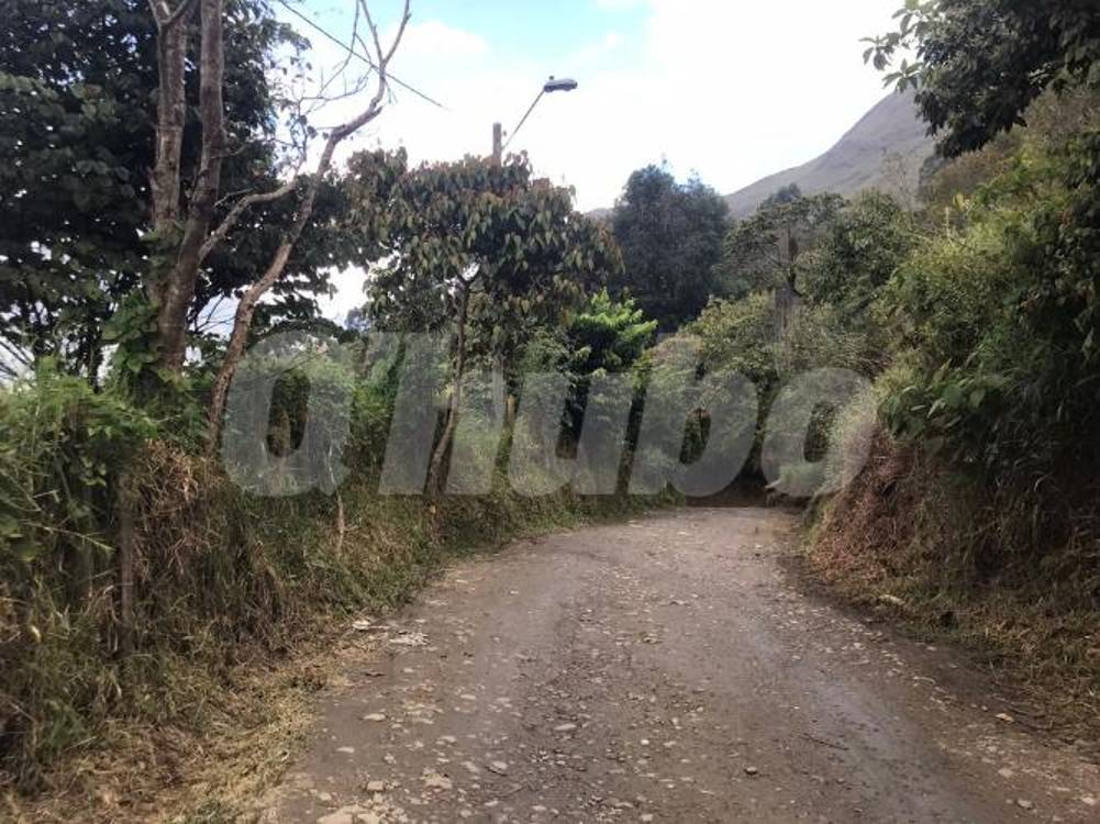 Esta es la vía de la vereda. Sitio donde encontraron a la víctima. FOTO: LAURA ROSA JIMÉNEZ VALENCIA