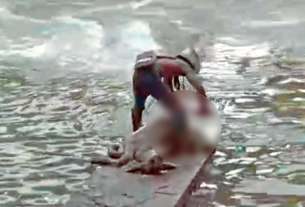 El hombre ubicó al animal sobre la viga de cemento para porcionarla con facilidad. /FOTO: CAPTURA VIDEO-DENUNCIAS ANTIOQUIA