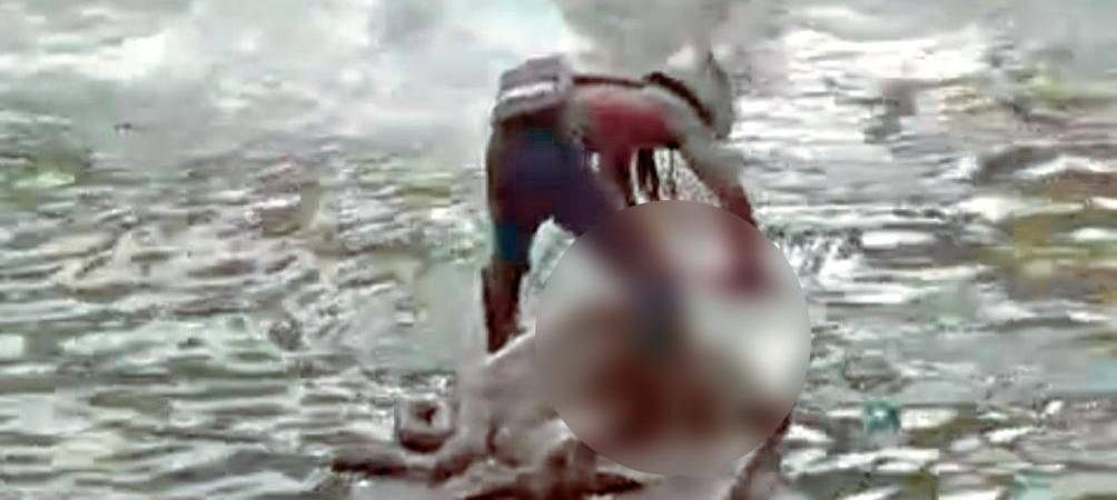 El hombre ubicó al animal sobre la viga de cemento para porcionarla con facilidad. /FOTO: CAPTURA VIDEO-DENUNCIAS ANTIOQUIA 