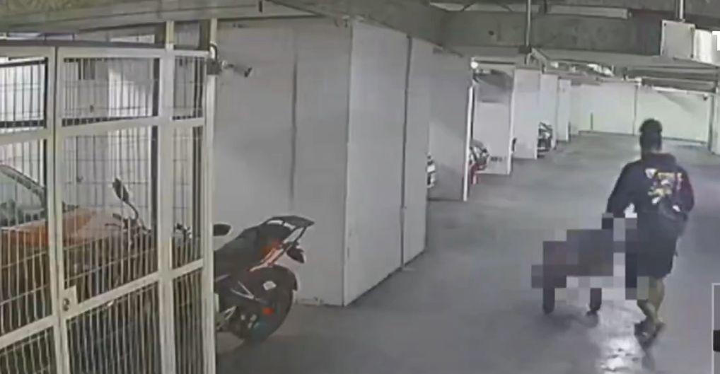 Este fue el momento en el que el hombre habría sacado el cuerpo del edificio. FOTO: T13