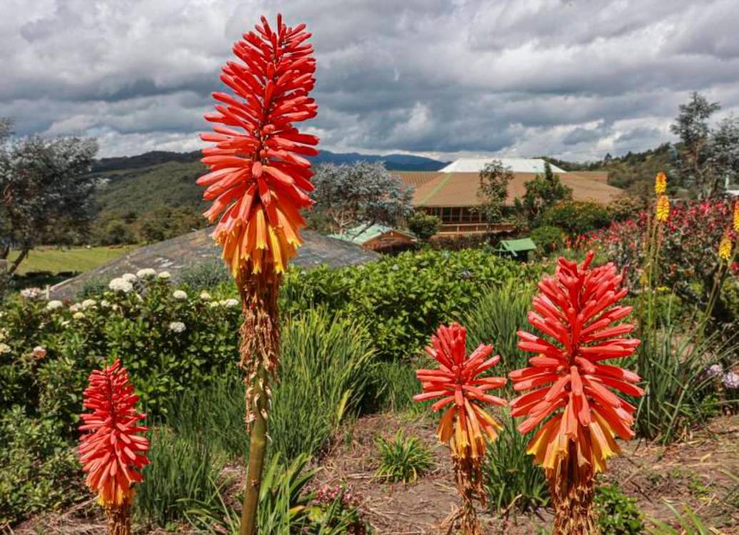 / FOTO: ANDRÉS BEDOYA