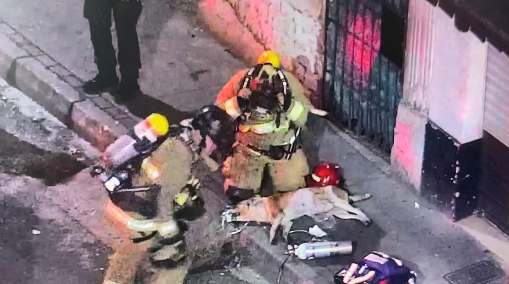 Las autoridades investigan qué originó el fuego y recordaron que la ciudad sigue fortaleciendo su sistema de cámaras y la respuesta a emergencias. <b><span class=mln_small-caps_mln>/ FOTO: ALCALDÍA DE MEDELLÍN</span></b>