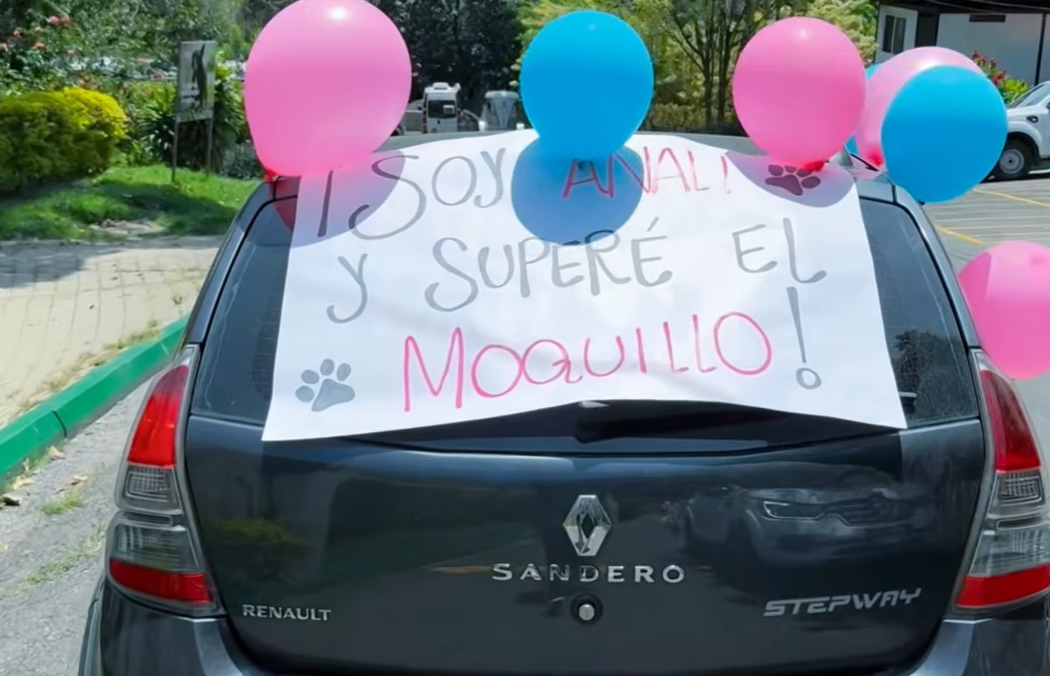311 796 3457: A través de este número puede conocer más sobre el proceso de adopción de los animales de La Perla. FOTO: CORTESÍA ALCALDÍA DE MEDELLÍN