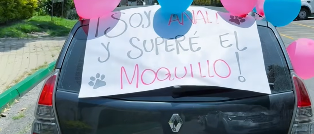 311 796 3457: A través de este número puede conocer más sobre el proceso de adopción de los animales de La Perla. FOTO: CORTESÍA ALCALDÍA DE MEDELLÍN