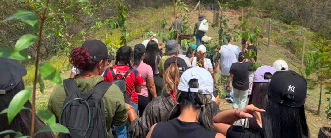Así fue la jornada de reforestación de Samy /FOTO: CORTESÍA.