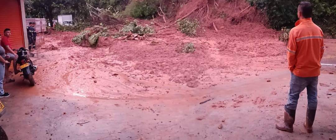 / FOTO: CORTESÍA DENUNCIAS ANTIOQUIA.
