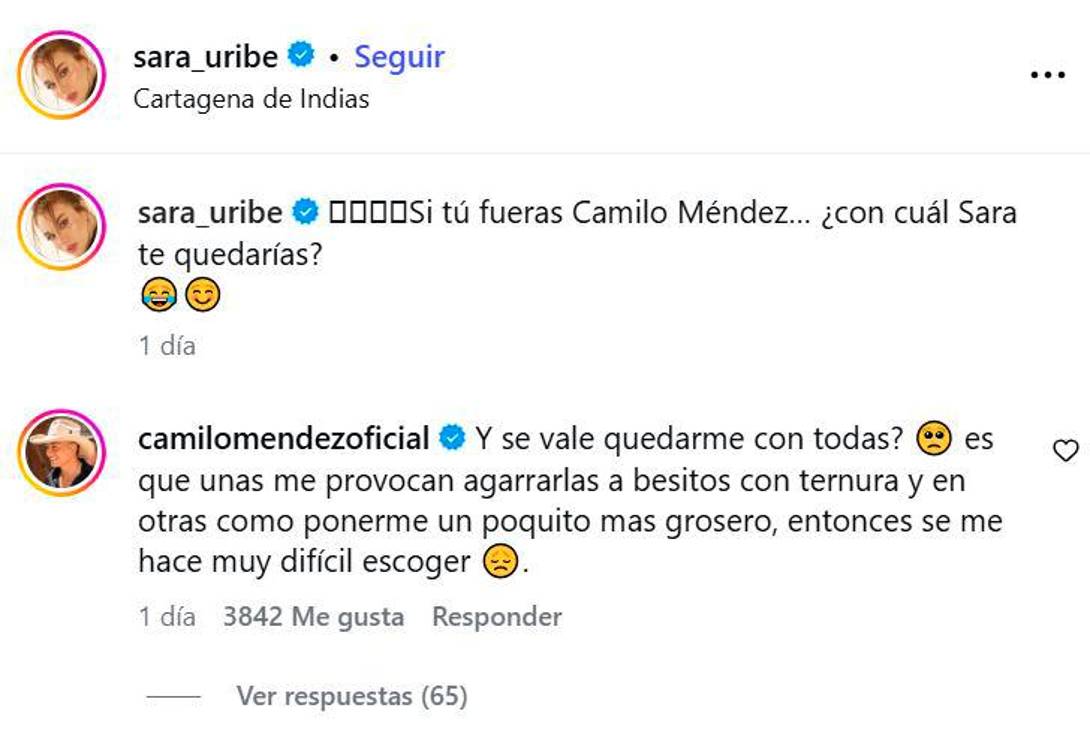 Así le respondió Camilo Mendez a Sara Uribe. FOTO: CAPTURA DE PANTALLA