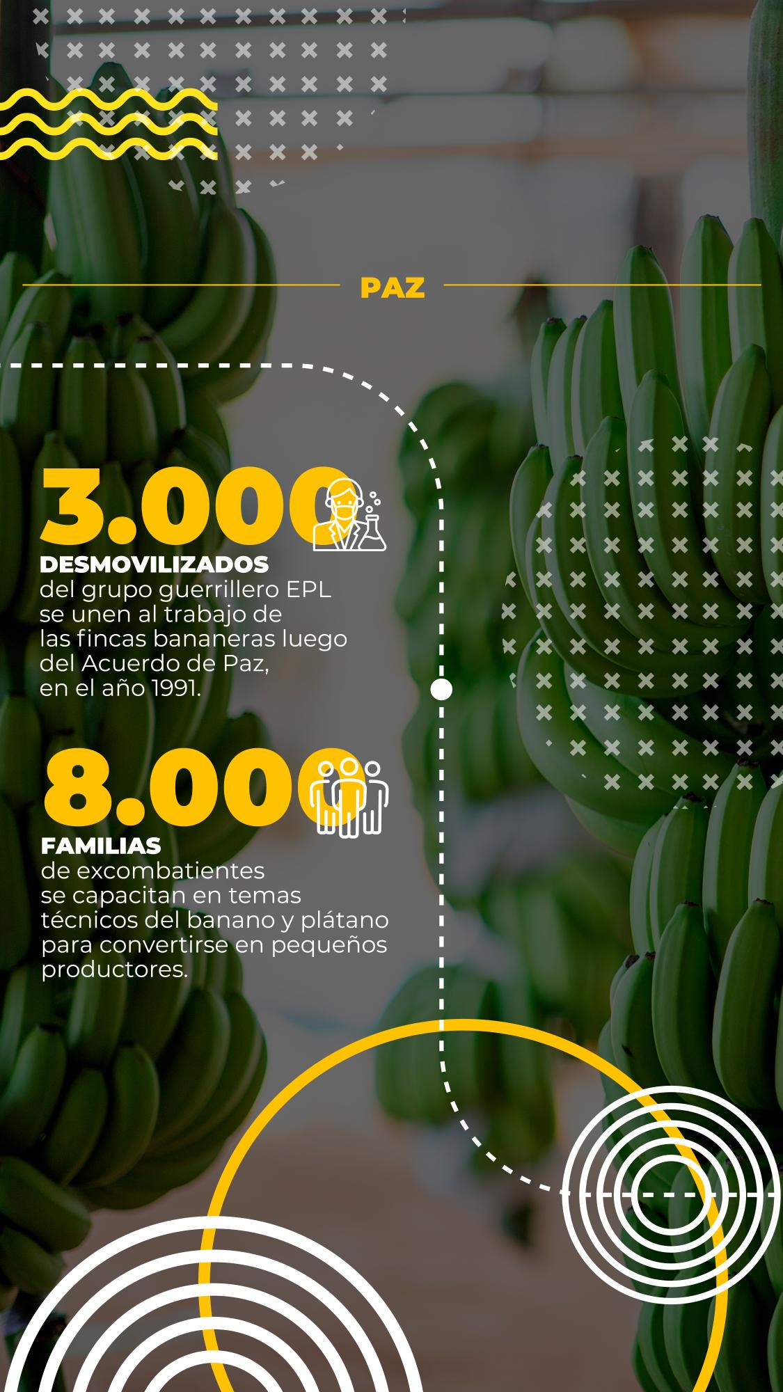 Los frutos en Urabá se escriben con datos y hechos