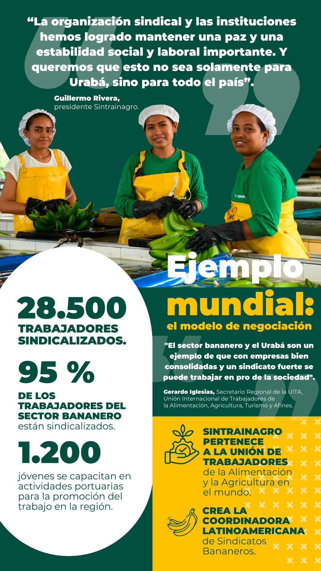 Sector bananero genera empleo digno en Urabá