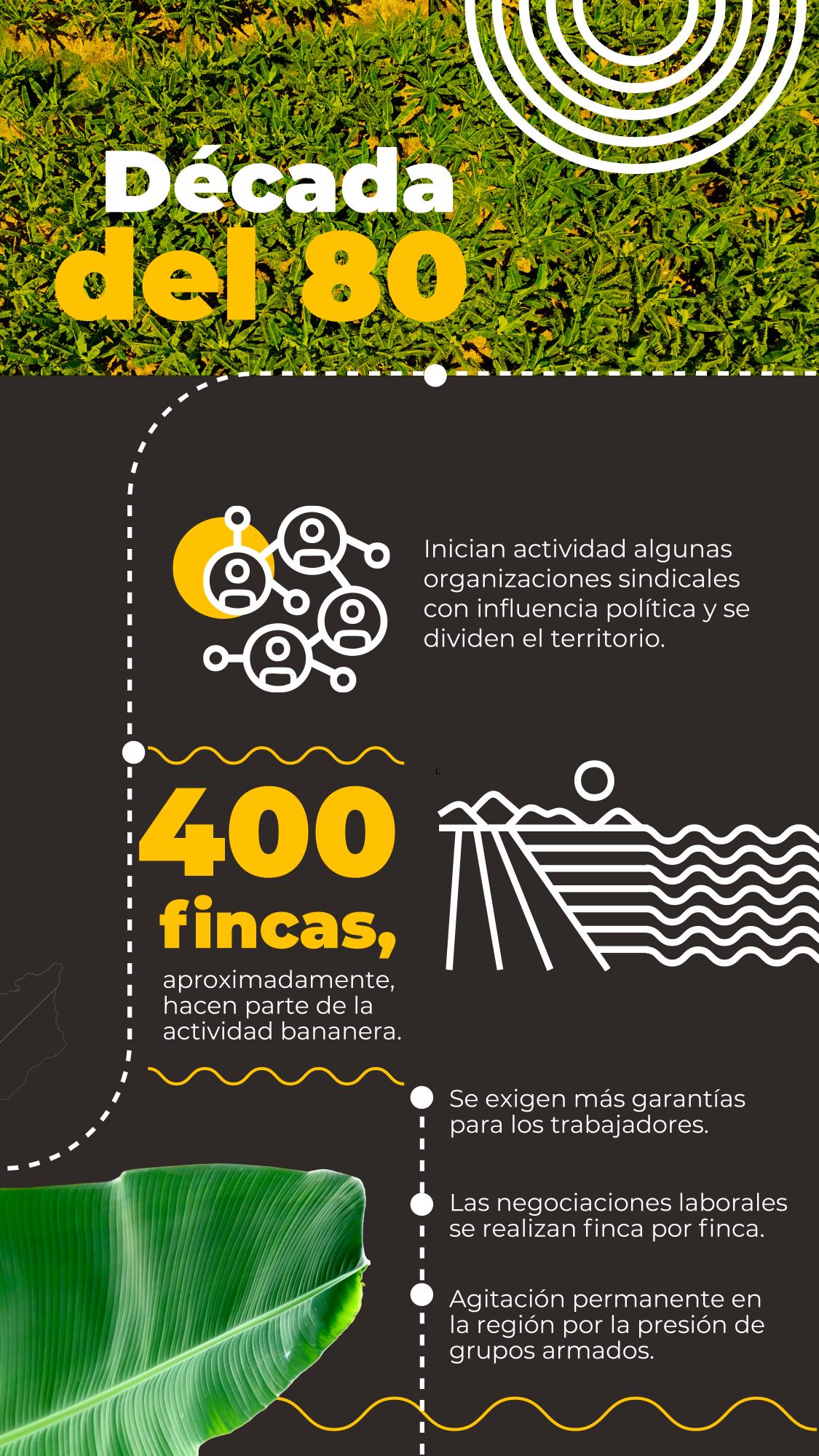 Sector bananero genera empleo digno en Urabá