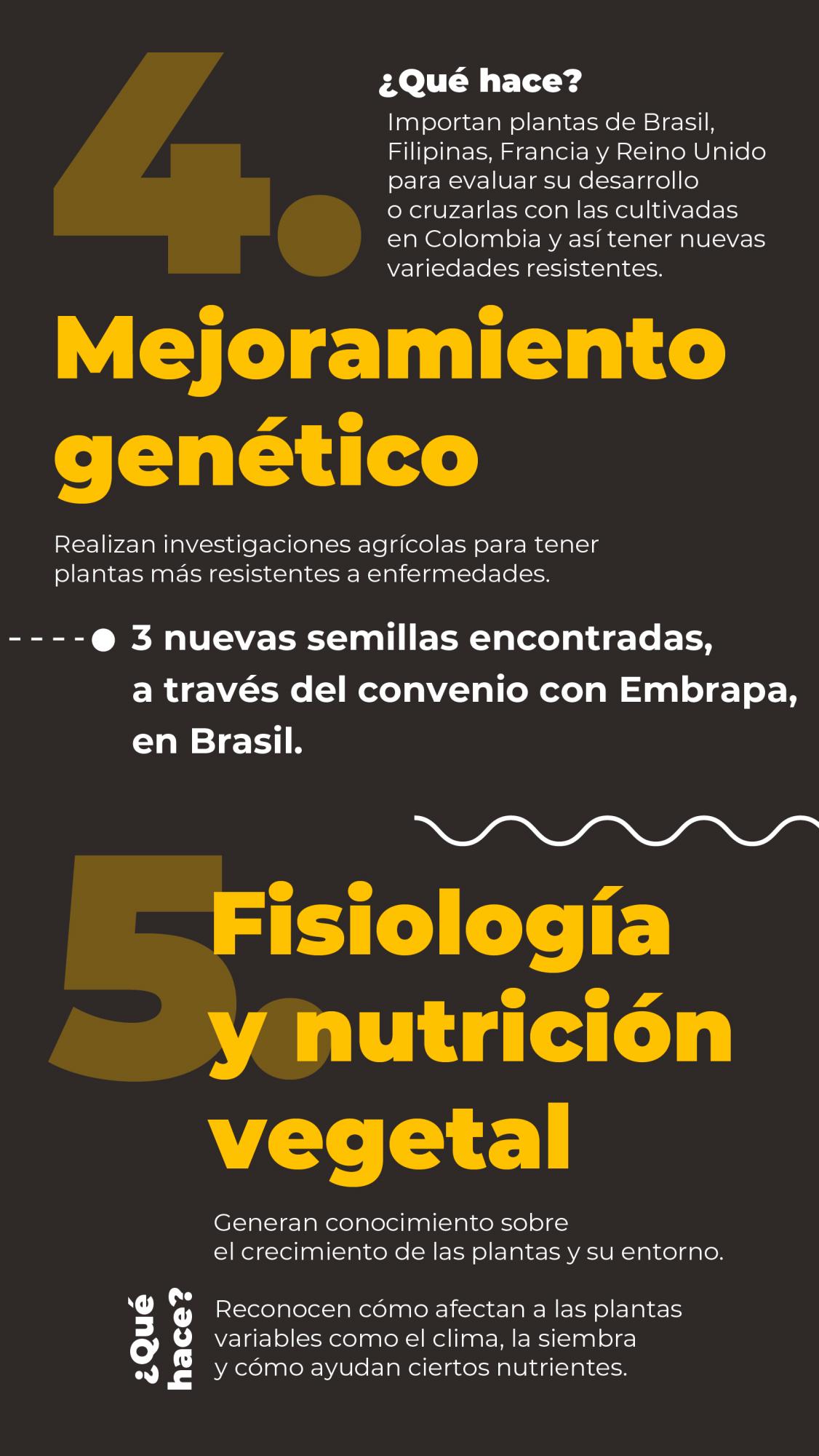 Un banano que se apoya de la ciencia para ser más competitivo
