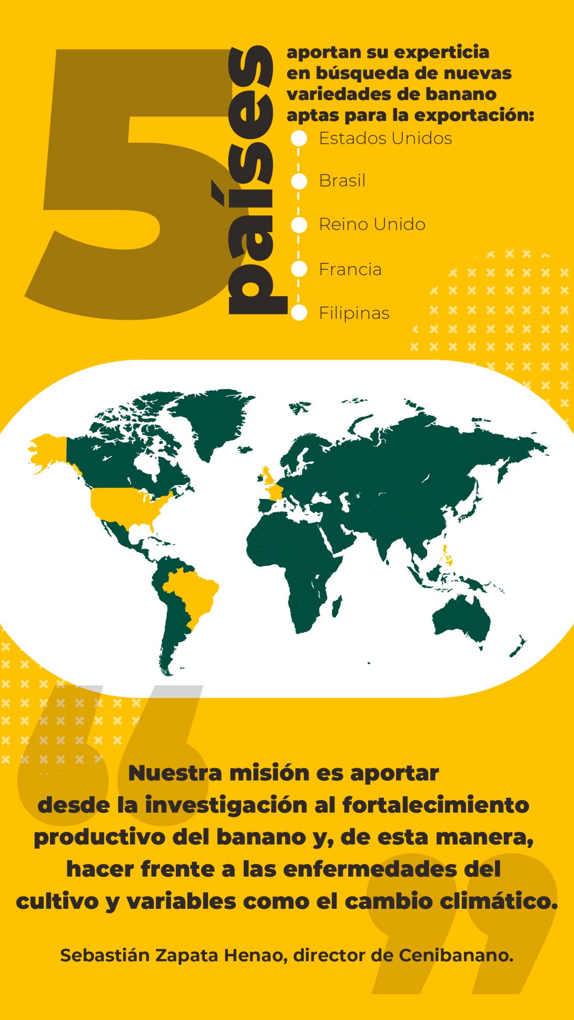 Un banano que se apoya de la ciencia para ser más competitivo