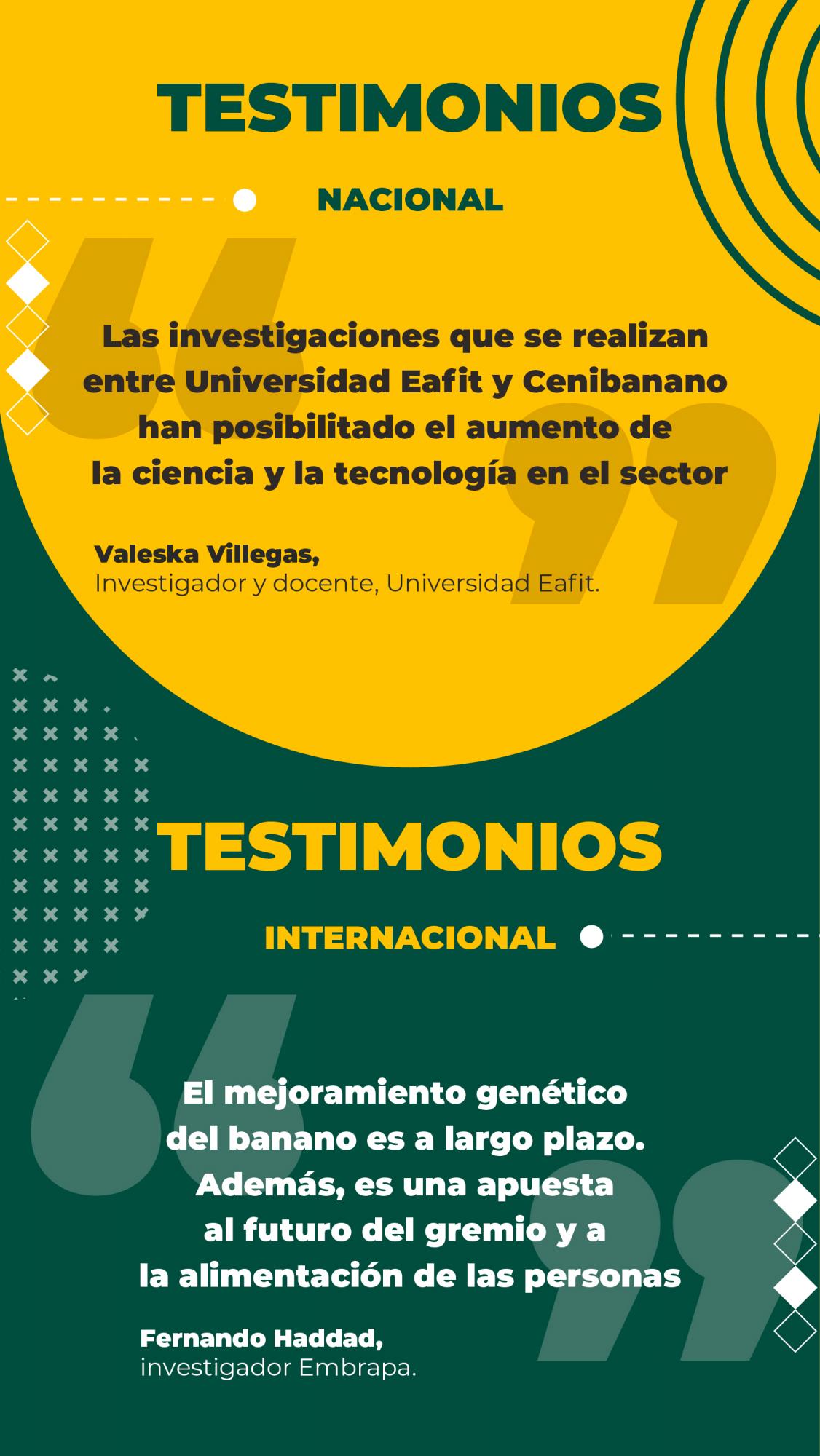 Un banano que se apoya de la ciencia para ser más competitivo