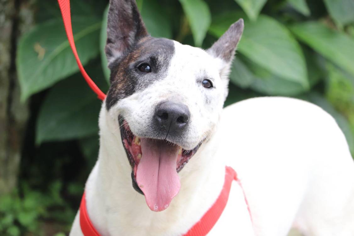 FOTO: ALCALDÍA DE MEDELLÍN