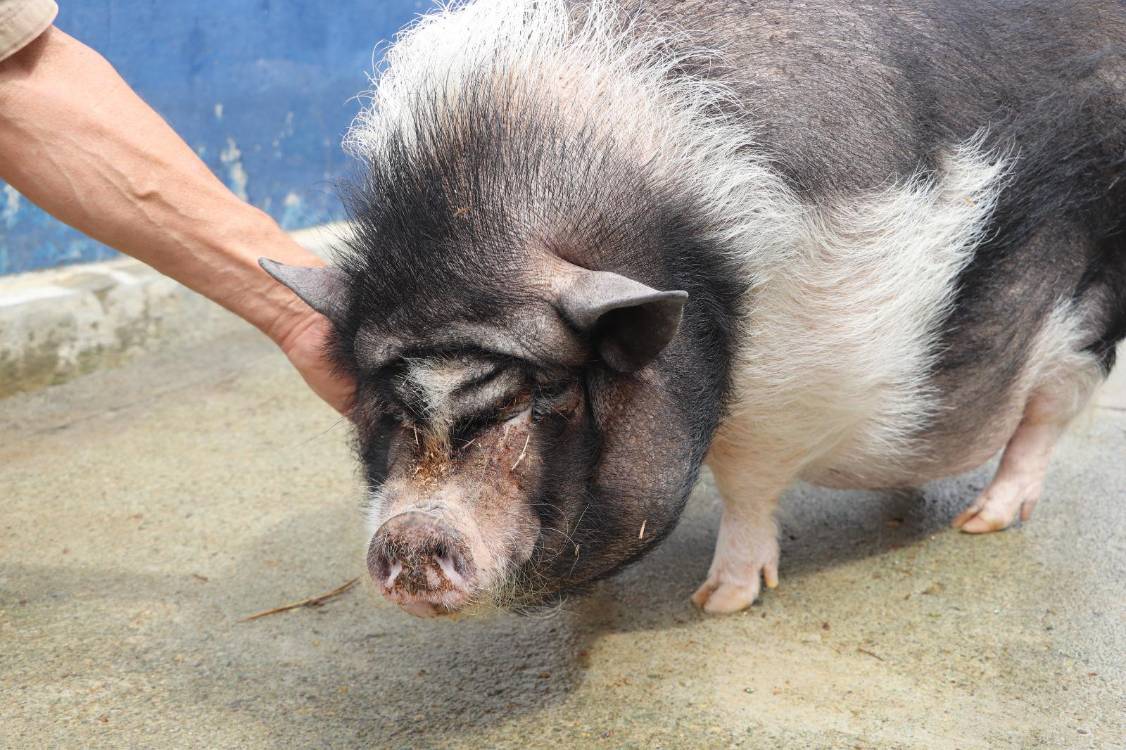 <span class=mln_uppercase_mln>/FOTO:</span><b><span class=mln_uppercase_mln> CORTESÍA ALCALDÍA DE MEDELLÍN</span></b>