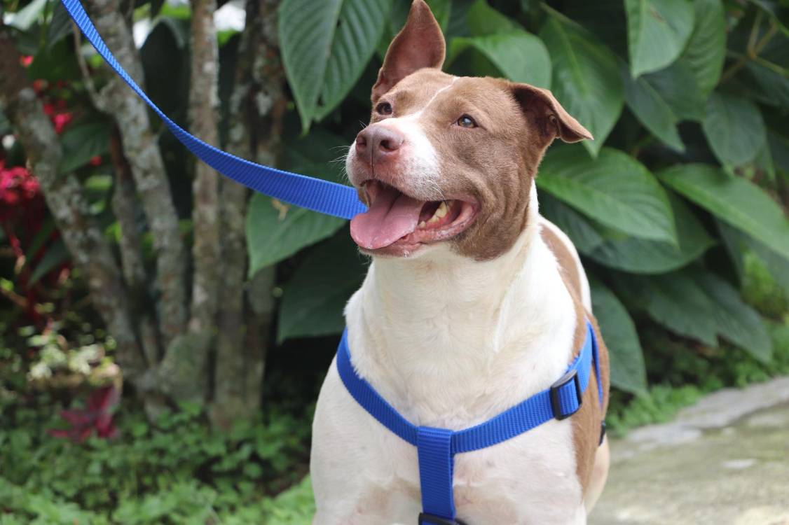 FOTO: ALCALDÍA DE MEDELLÍN