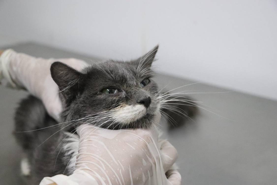 FOTO: ALCALDÍA DE MEDELLÍN