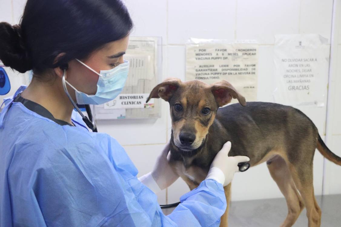 FOTO: ALCALDÍA DE MEDELLÍN