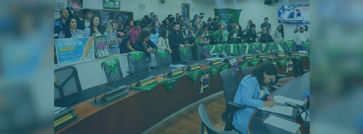 Imagen ASÍ PASÓ se-hundió-proyecto-antiabor