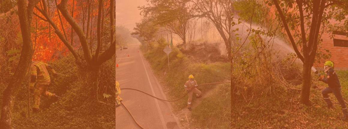 Imagen Actualidad hubo-3-incendios-en-el-Va