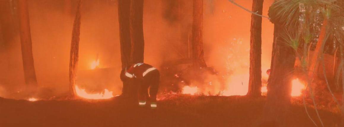 Imagen Actualidad incendio-forestal-entre-b