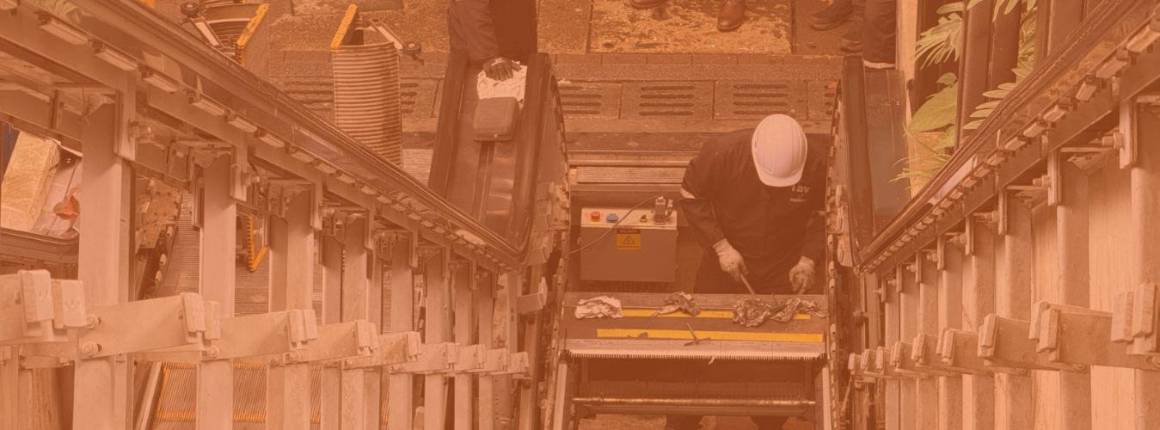 Imagen Actualidad Escaleras-eléctricas-de-l
