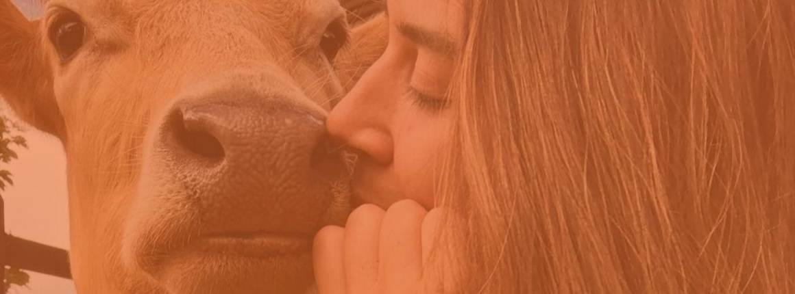 Imagen Actualidad Una-vaca-le-dio-vida-a-un