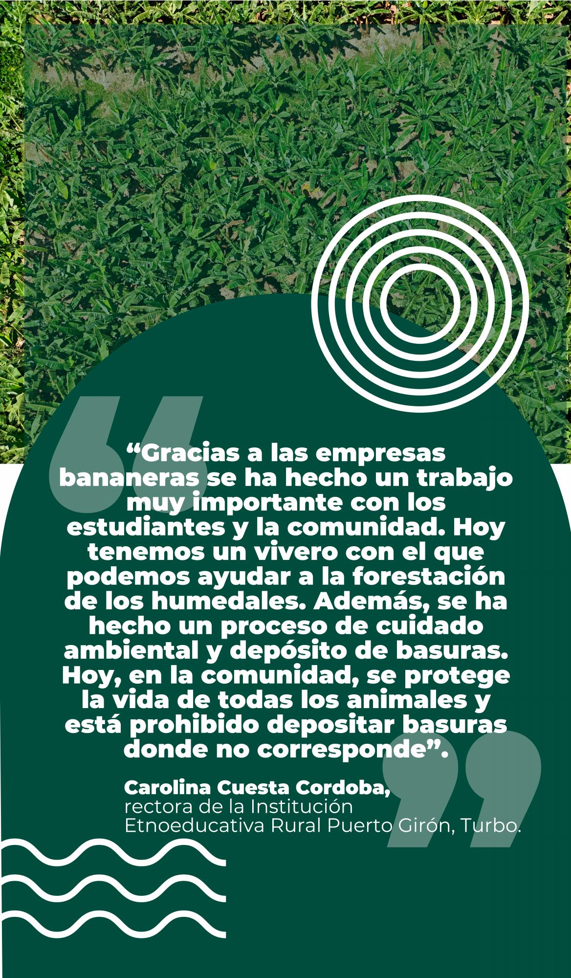 Así protege el sector bananero el medio ambiente en Urabá