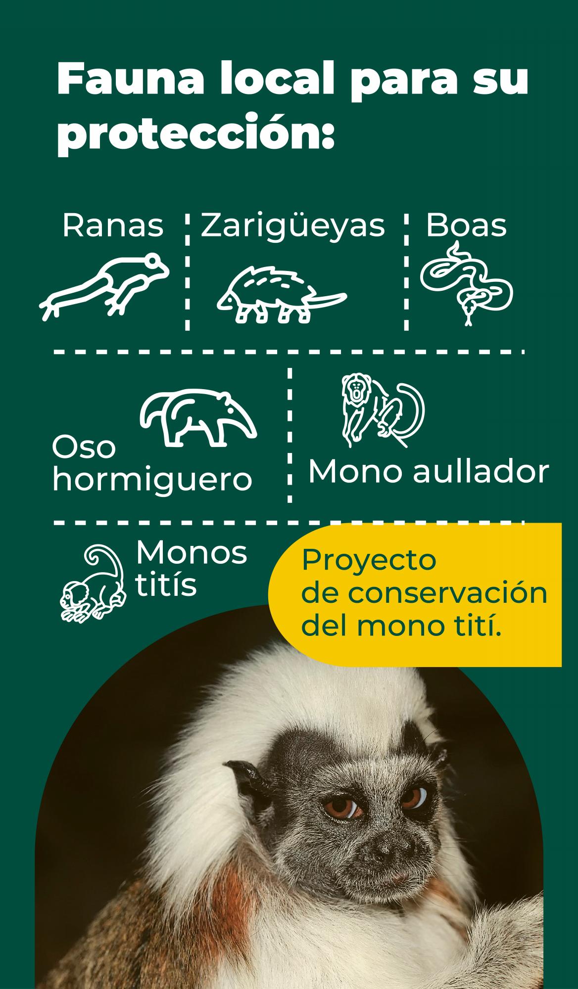 Así protege el sector bananero el medio ambiente en Urabá