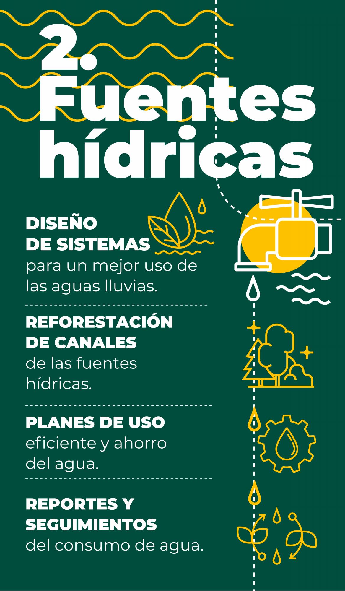 Así protege el sector bananero el medio ambiente en Urabá