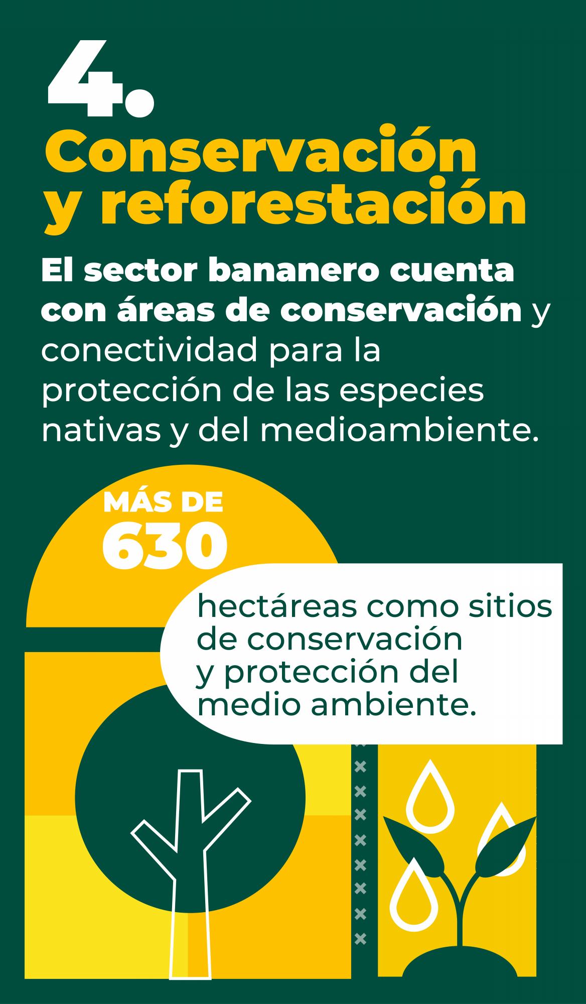 Así protege el sector bananero el medio ambiente en Urabá
