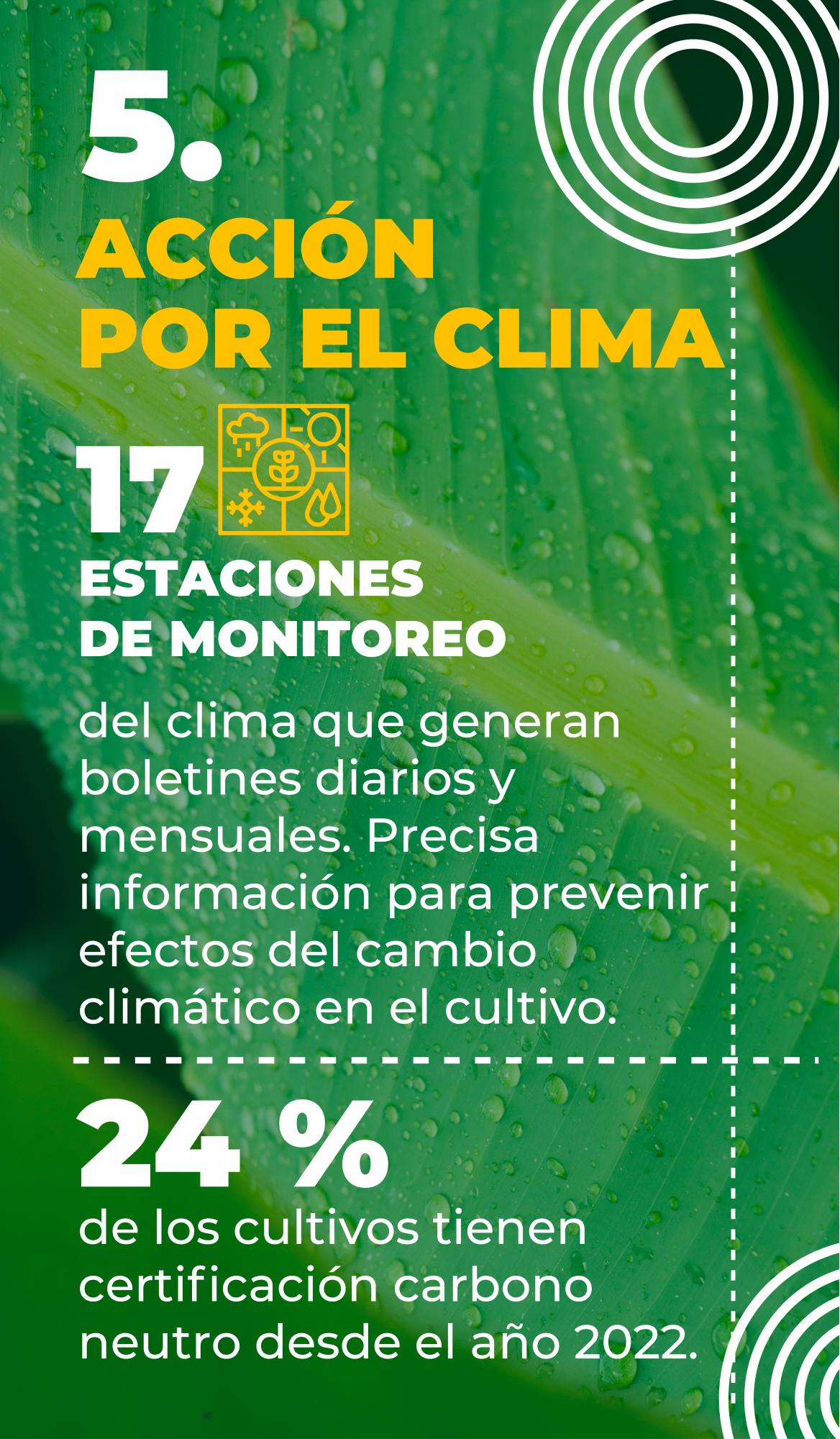 Así protege el sector bananero el medio ambiente en Urabá
