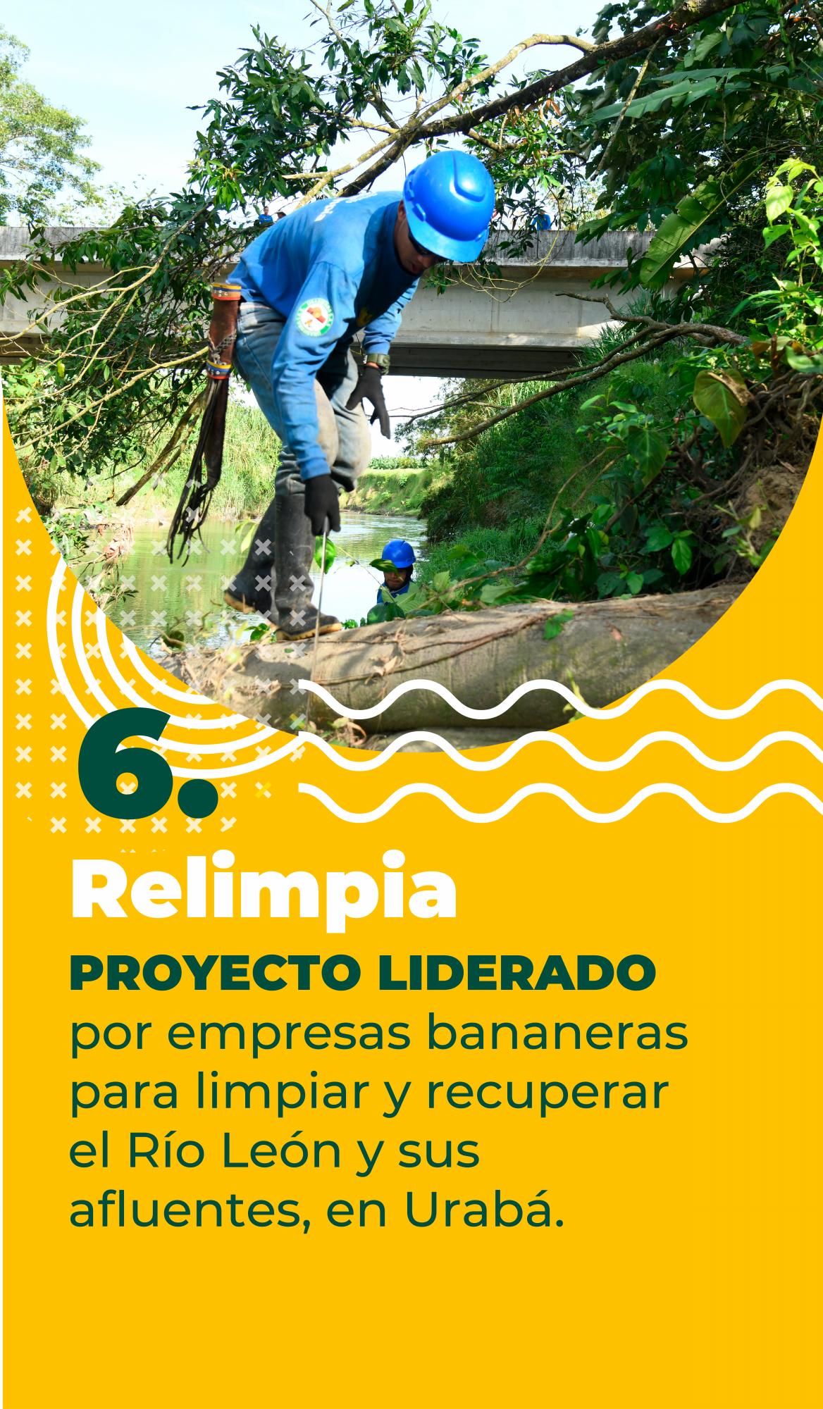 Así protege el sector bananero el medio ambiente en Urabá
