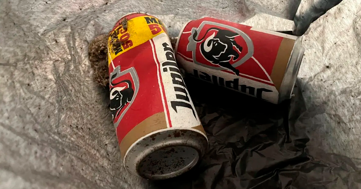 Decimos adiós al 2024 con lo más descabellado