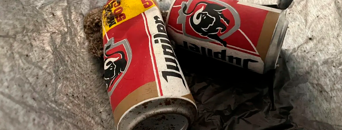 Decimos adiós al 2024 con lo más descabellado