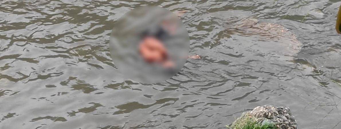 Así fue hallado el cadáver de este joven de 26 años. /FOTO: CORTESÍA