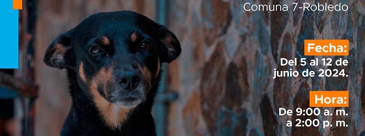 /FOTO: ALCALDÍA DE MEDELLÍN 