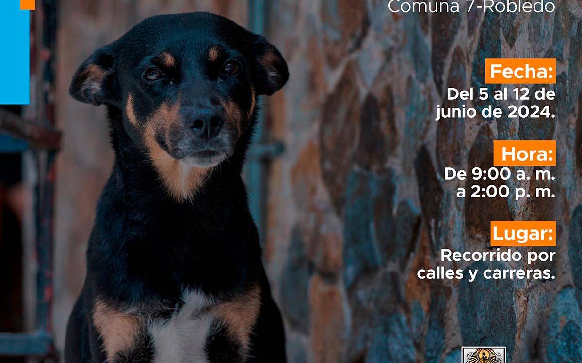 /FOTO: ALCALDÍA DE MEDELLÍN