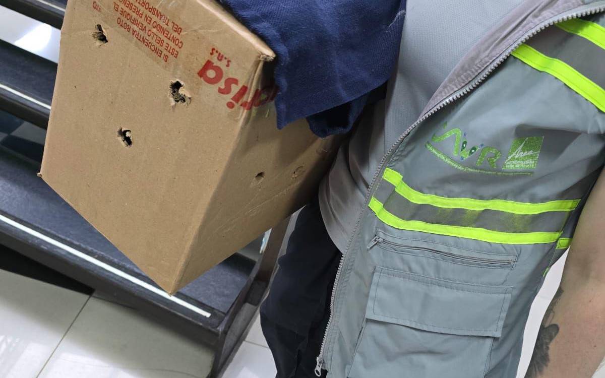 Personal del Área Metropolitana y Universidad CES siguieron el protocolo de rescate. FOTO: ANDRÉS CATAÑO