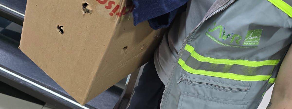 Personal del Área Metropolitana y Universidad CES siguieron el protocolo de rescate. FOTO: ANDRÉS CATAÑO