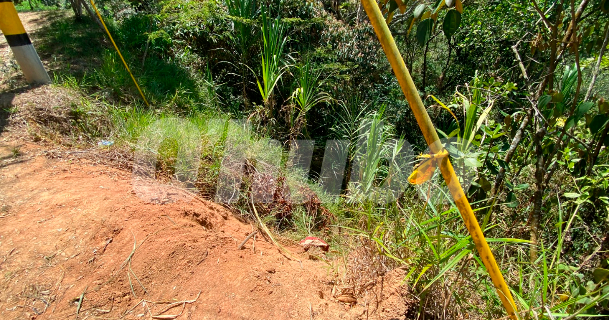 $!En este barranco de la vereda Encenillo, en Girardota, fueron hallados los 2 cadáveres. /FOTO: ANDRÉS FELIPE OSORIO GARCÍA