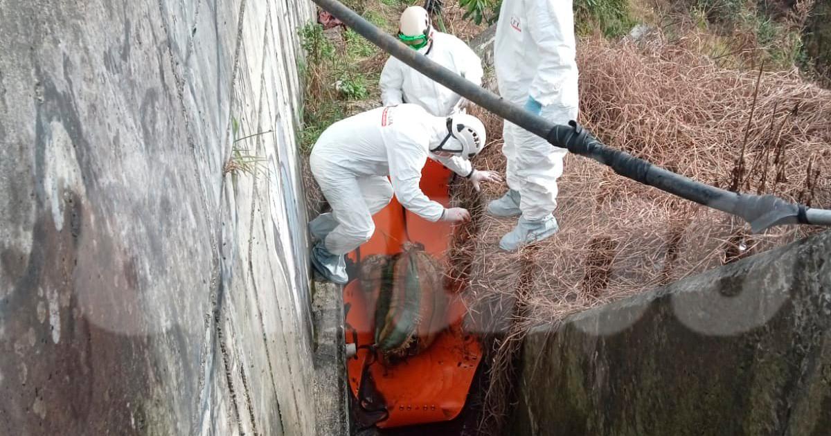 /FOTO: CORTESÍA BOMBEROS CALDAS
