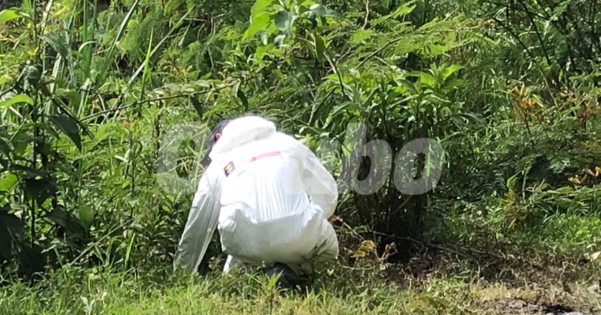 Inspección Técnica de los cadáveres hallados en Altavista. FOTO: LAURA ROSA JIMÉNEZ