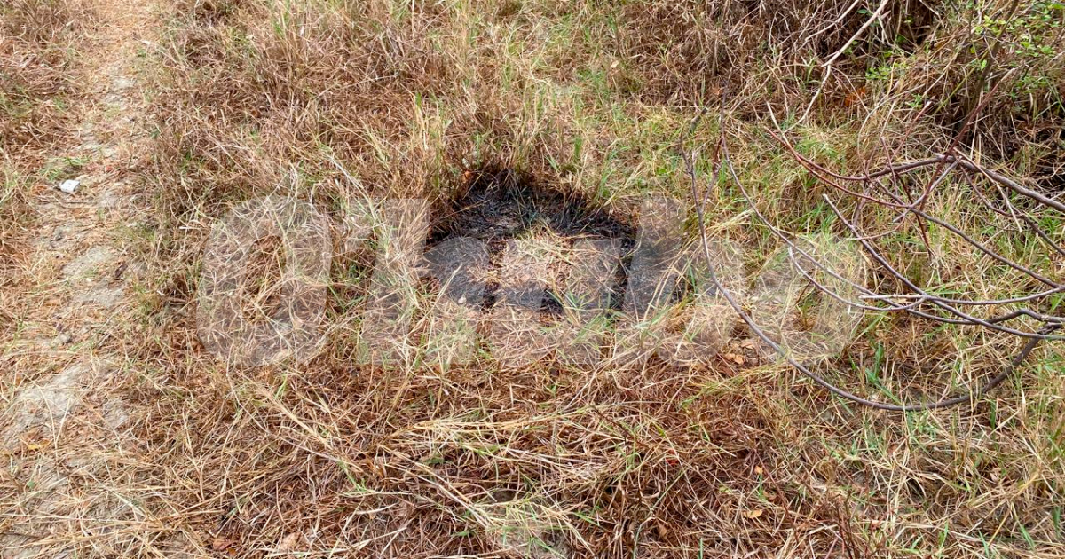 En el lugar en el que fue hallado el cadáver quedó un quemón generado por el sol y los líquidos que soltó el cuerpo. /FOTO: ANDRÉS FELIPE OSORIO GARCÍA